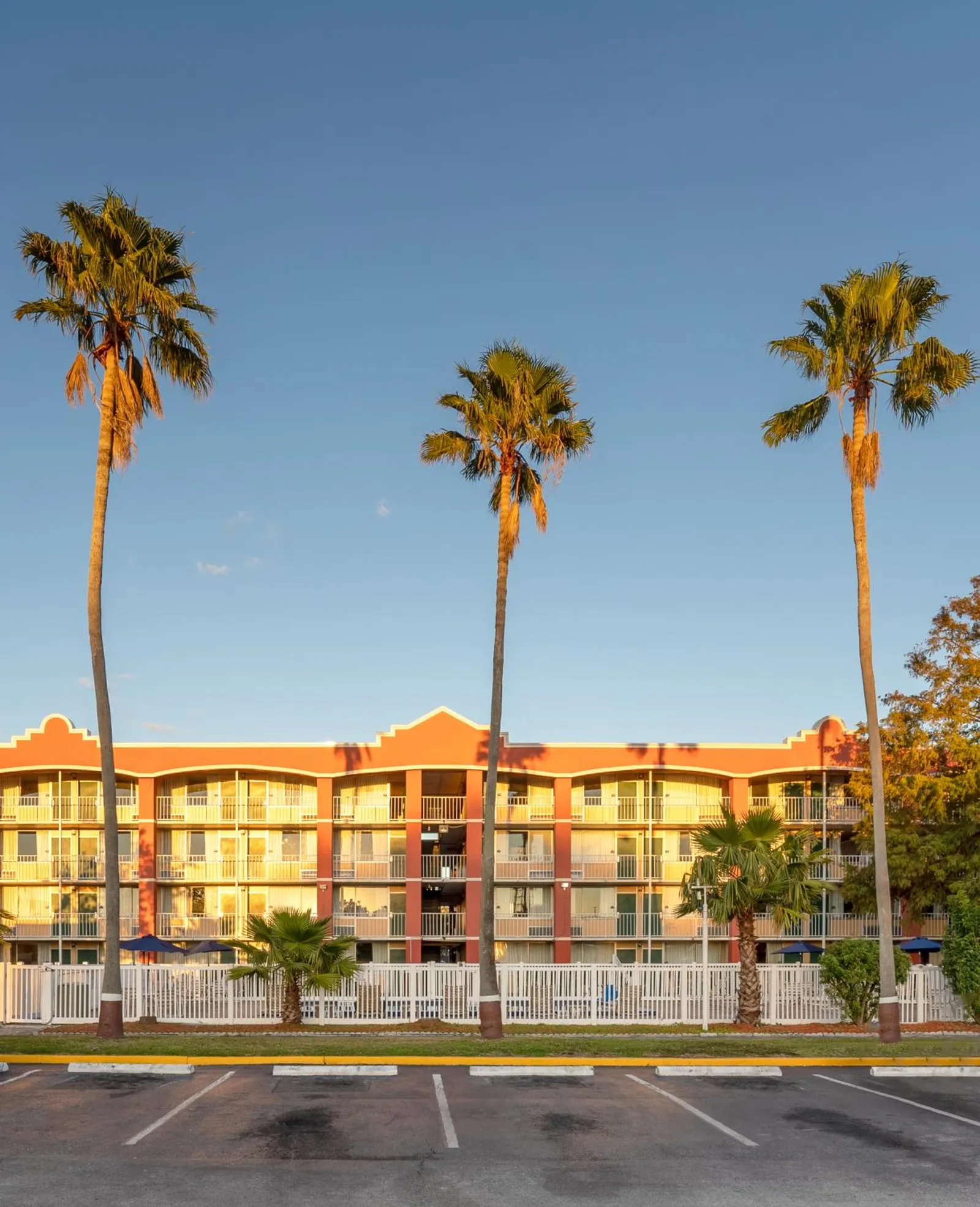 Developer Inn Downtown Orlando photo