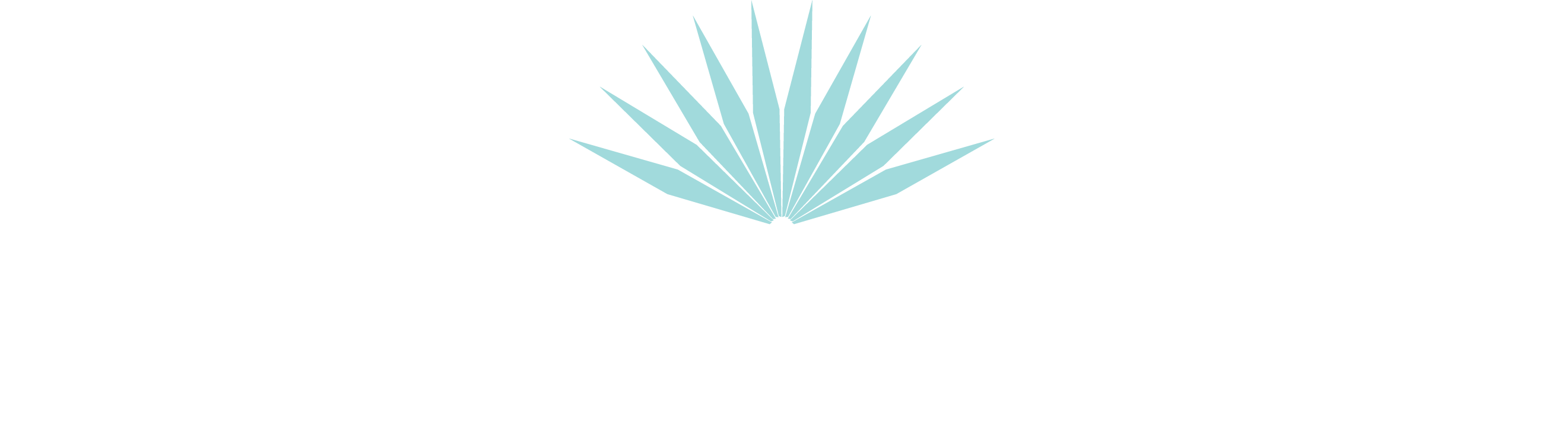 Where to eat in Dr. Phillips/Restaurant Row image