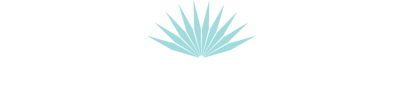 Rocco's Tacos Orlando photo
