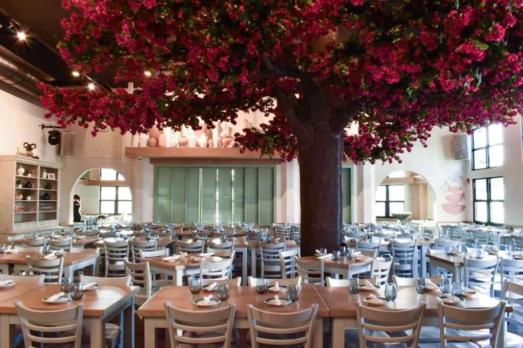 Taverna Opa Orlando photo